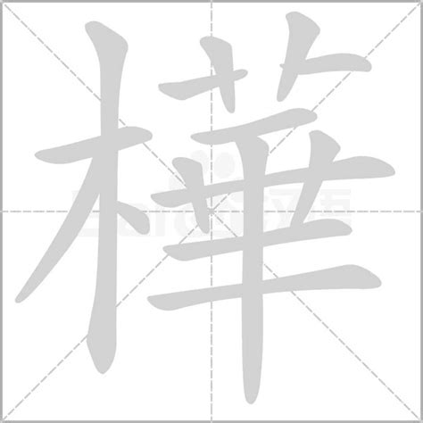 樺字五行|樺的意思，樺字的意思